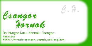 csongor hornok business card